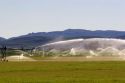 Sprinkler pivot irrigation near Bellevue, Idaho.
