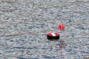 Diver bouy and flag indicate underwater activity at this location.