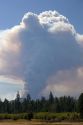 Plume of smoke from a wildfire near Sisters, Oregon.