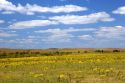 Kansas prairie along highway 77 south of Cottonwood.