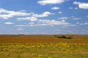 Kansas prairie along highway 77 south of Cottonwood, Kansas.