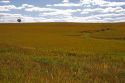 Kansas prairie along highway 77 south of Cottonwood, Kansas.