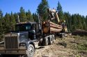 Logging operation in the Boise National Forest, Idaho.