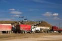 Trucks unload harvested sugar beets into collective piles at Mountain Home, Idaho.