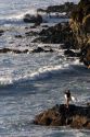 Female surfer stands on the rocky shore viewing waves in the pacific ocean from the island of Maui, Hawaii.