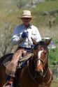 Cowboy on horseback during a cattle round up near Emmett, Idaho.