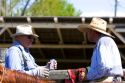 Cowboys enjoy a beer during a cattle round up near Emmett, Idaho.