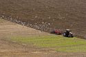 Gulls follow a tractor tilling a field at Cap Blanc Nez in the Pas-de-Calais department in Northern France.