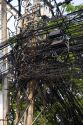 A tangle of telephone wires on a utility pole in Ho Chi Minh City, Vietnam.