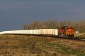 BNSF Railway freight train hauling coal cars near Ft. Morgan, Colorado, USA.
