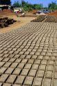 Adobe bricks being made at Talca, Chile.