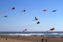 People flying kites along the D River in Lincoln City, Oregon, USA.