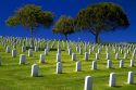 Fort Rosecrans National Cemetery at Point Loma, San Diego, California, USA.