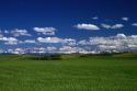 Wheat field near Ashton, Idaho, USA.