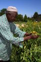 Somali refugee working at a community garden in Bosie, Idaho, USA.