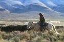 Native american indian cowboy herding cattle near McDermitt, Nevada, USA.