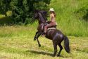 French woman riding her horse on a farm near Angouleme in southwestern France.