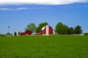 Alfalfa field with red barn and farm house in rural Allegan County, Michigan, USA.