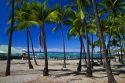 Beach and palm trees at Kailua-Kona on the Big Island of Hawaii, Hawaii, USA.