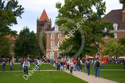 Students on the campus of the University of Illinois at Champaign.