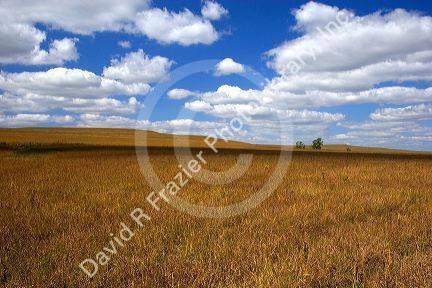 The Tallgrass Prairie National Preserve near Strong City, Kansas.