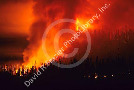A forest fire at night in the Boise National Forest, Idaho.