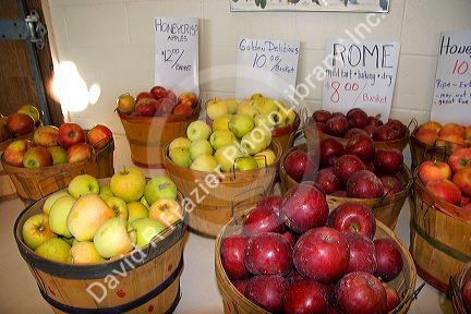 A variety of apples at a farmers market in Canyon County, Idaho.
