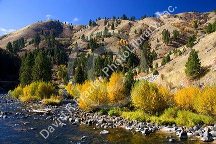 Autumn on the Payette River in Idaho.