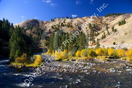 Autumn on the Payette River in Idaho.