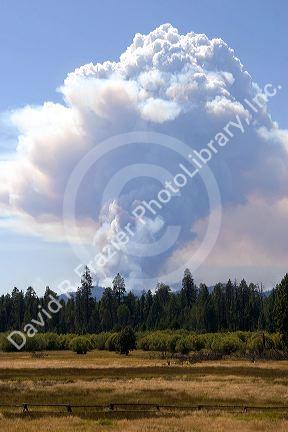 Plume of smoke from a wildfire near Sisters, Oregon.