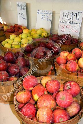 A variety of apples at a farmers market in Canyon County, Idaho.