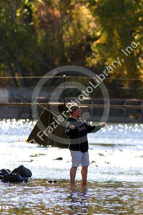 A man fly fishing on the Payette River in Idaho.