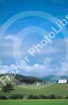 Farm scene north of Morrow Bay, California along Pacific Coast Highway 1.
