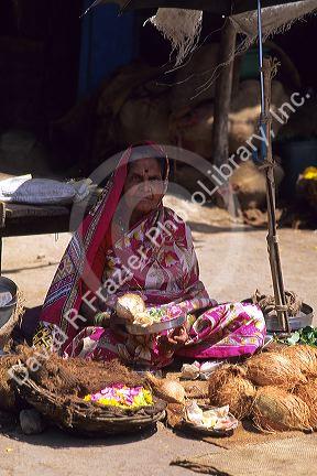 An elderly indian woman street vendor selling coconuts and flowers in India.