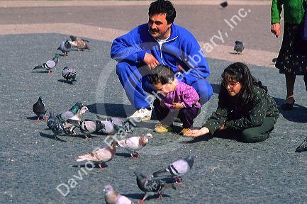 Father and children feed pigeons in Barcelona, Spain.