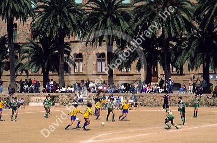 A soccer, football game in Barcelona, Spain.