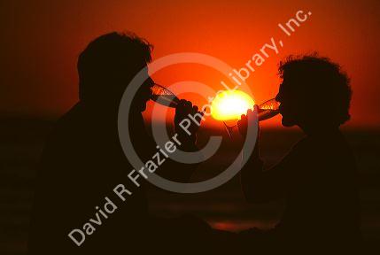A couple sharing a toast at sunset in Florida.