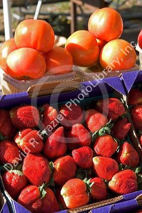 Tomatoes and strawberries being sold at a market near Tavares, Florida.