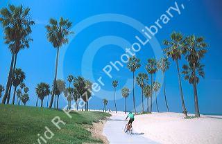 Bicyclist riding on path along Venice Beach, California.