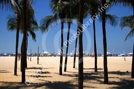 Palm trees on the Copacabana Beach in Rio de Janeiro, Brazil.