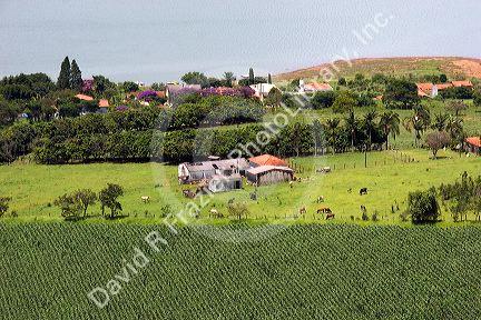 Small farm in the countryside near Sao Paulo, Brazil.