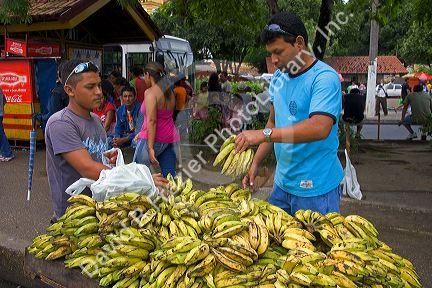 Street vendor selling bananas in Manaus, Brazil.