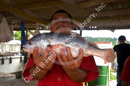 Vendor selling fish at a market in Manaus, Brazil.