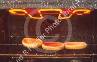 The element in an electric conventional oven.