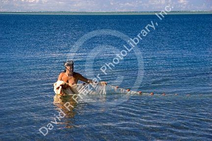 Tahitian man fishing with a net in the lagoon off the island of Tahiti.