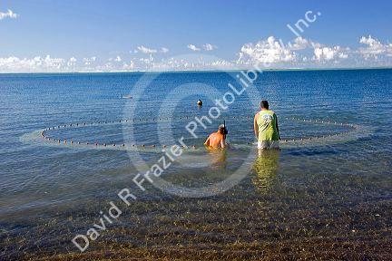 Tahitian men fishing with a net in the lagoon off the island of Tahiti.