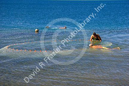 Tahitian men fishing with a net in the lagoon off the island of Tahiti.