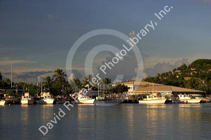 Fishing boats docked at Faaa on the island of Tahiti.