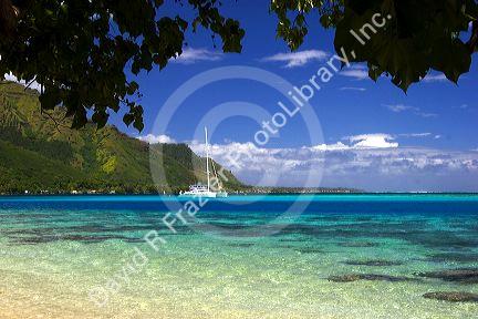 A sailboat anchored in the lagoon off the island of Moorea.