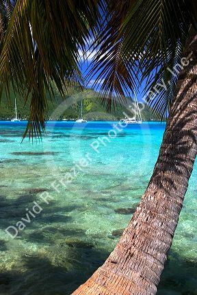 Sailboats anchored in the lagoon off the island of Moorea.
